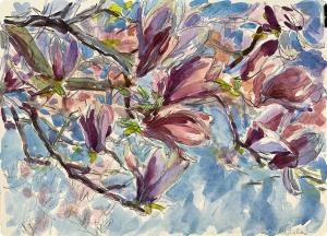 Magnolia Blossoms-13x10
